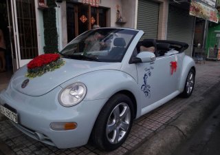 Volkswagen New Beetle 2004 - Cần bán xe Volkswagen New Beetle đời 2004, màu xanh lam, nhập khẩu nguyên chiếc