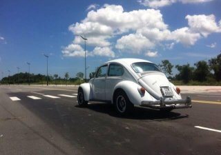 Volkswagen Bora 1980 - Bán ô tô Volkswagen Bora sản xuất 1980, màu trắng, nhập khẩu chính hãng, 290 triệu