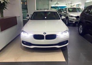 BMW 3 Series 320i 2017 - Bán ô tô BMW 3 Series 320i đời 2017, màu trắng, nhập khẩu chính hãng