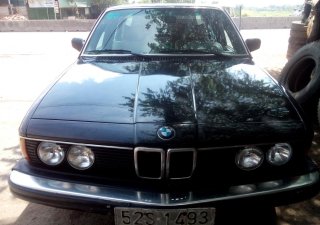 BMW 5 Series 1987 - Bán xe BMW 5 Series đời 1987, màu xám, nhập khẩu nguyên chiếc