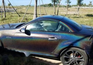 Mercedes-Benz SLK class 2005 - Bán Mercedes đời 2005, xe nhập