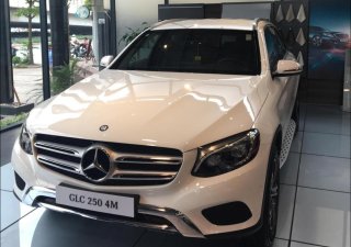 Mercedes-Benz Smart GLC 250 4 Matic 2017 - Bán xe Mercedes GLC 250 4 Matic đời 2017, màu trắng, khuyến mãi hấp dẫn