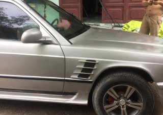 Mercedes-Benz 190 1993 - Cần bán gấp Mercedes-Benz 190 sản xuất 1993 màu Bạc, giá tốt nhập khẩu nguyên chiếc