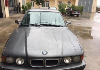 BMW 5 Series 525i 1995 - Bán BMW 525i đời 1995, màu xám, nhập khẩu chính chủ