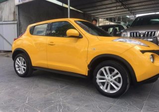 Nissan Juke 1.6AT 2013 - Bán ô tô Nissan Juke 1.6AT đời 2013, màu vàng, xe nhập, giá tốt
