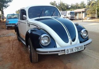Volkswagen Beetle 1980 - Bán Volkswagen Beetle đời 1980, hai màu, nhập khẩu, giá chỉ 110 triệu