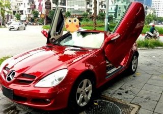 Mercedes-Benz SLK class 2007 - Bán Mercedes SLK 280 đời 2007, màu đỏ, nhập khẩu nguyên chiếc 
