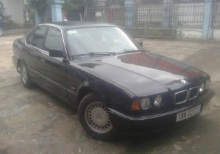 BMW 5 Series   525i  1995 - Bán BMW 5 Series 525i đời 1995, màu đen