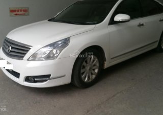 Nissan Teana 2.0 2010 - Cần bán xe Nissan Teana 2.0 đời 2010, màu trắng, nhập khẩu, giá 516tr