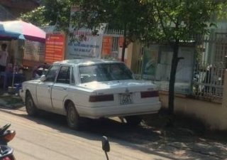 Toyota Cressida 1984 - Bán Toyota Cressida năm 1984, màu trắng  