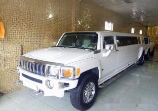 Hummer H3 2009 - Cần bán xe Hummer H3 đời 2009, màu trắng, nhập khẩu