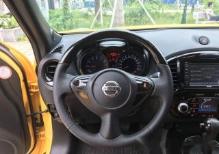 Nissan Juke   1.6AT  2013 - Bán xe Nissan Juke 1.6AT đời 2013, màu vàng, xe nhập