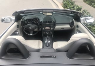 Mercedes-Benz SLK class 2010 - Bán xe Mer SLK 200 mui xếp, sx 2010, màu bạc