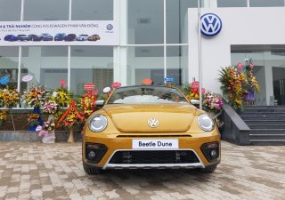 Volkswagen New Beetle AT 2017 - Bán Volkswagen New Beetle năm 2017, màu xám (ghi), xe nhập