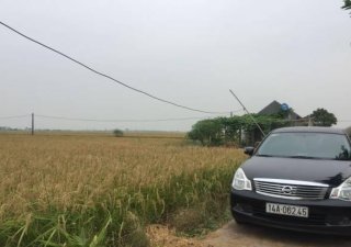 Nissan Bluebird AT 2009 - Bán ô tô Nissan Bluebird AT sản xuất 2009, xe nhập giá cạnh tranh