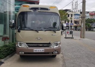 Hyundai County Limousine 2016 - Bán Hyundai County Limousine đời 2016, màu vàng