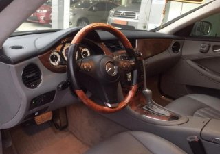 Mercedes-Benz CLS class 300 2009 - Bán Mercedes CLS 300 2009, màu bạc, xe nhập, 890tr