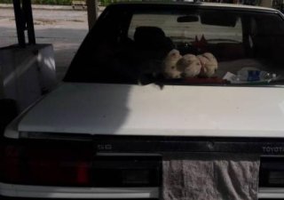 Toyota Carina 1982 - Bán Toyota Carina đời 1982, màu trắng, xe nhập xe gia đình, 34tr