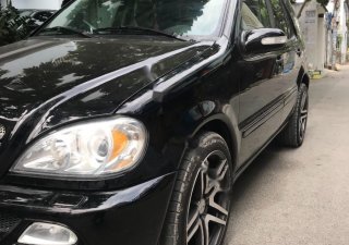 Mercedes-Benz ML Class ML320 2002 - Gia đình cần bán gấp Mercedes ML320 năm 2002, màu đen, nhập khẩu nguyên chiếc