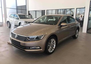 Volkswagen Passat  Bluemotion 2017 - Bán xe Volkswagen Passat Bluemotion đời 2017, màu nâu, xe nhập