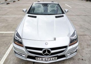 Mercedes-Benz SLK class  SLK350  2012 - Cần bán Mercedes SLK350 năm sản xuất 2012, màu bạc, nhập khẩu nguyên chiếc như mới