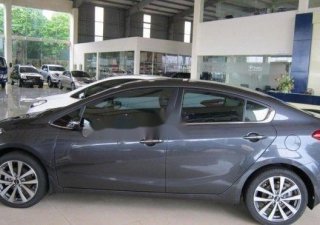 Kia Rio 2016 - Bán Kia Rio đời 2016, màu xám, nhập khẩu  