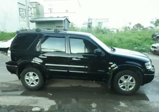 Ford Escape 2016 - Bán xe Ford Escape sản xuất 2016, màu đen, 250 triệu