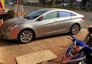 Hyundai Sonata 2010 - Bán xe Hyundai Sonata đời 2010, màu bạc