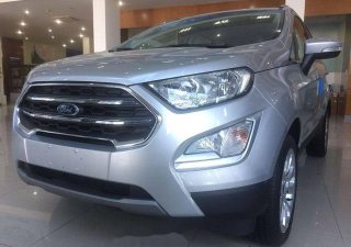 Ford EcoSport   2018 - Cần bán xe Ford EcoSport 2018, màu bạc