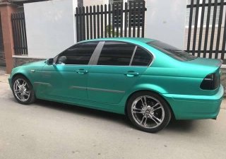 BMW 3 Series  318i  2003 - Bán xe BMW 318i 2003 xe gia đình