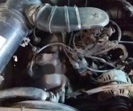 Peugeot 505   1985 - Bán Peugeot 505 sản xuất năm 1985, màu trắng