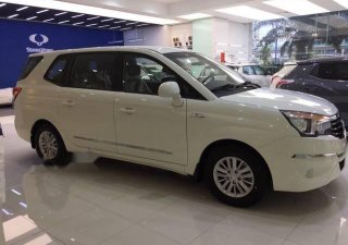 Ssangyong Stavic 2017 - Bán Ssangyong Stavic đời 2017, màu trắng, nhập khẩu 