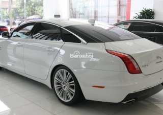 Jaguar XJL XJL  2017 - Giá bán xe Jaguar XJL - Thế giới thượng lưu trong một siêu phẩm - tặng ngay trước bạ 093 2222253