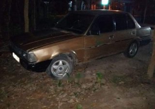 Toyota Corolla 1985 - Bán ô tô Toyota Corolla năm sản xuất 1985, màu nâu 