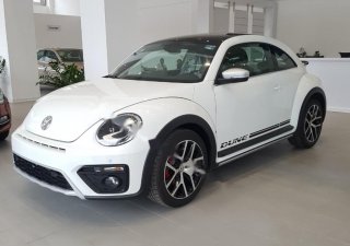 Volkswagen New Beetle 2018 - Bán Volkswagen New Beetle năm sản xuất 2018, màu trắng, xe nhập