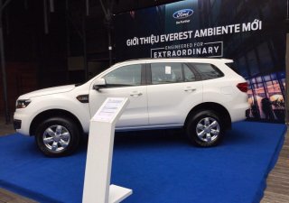 Ford Everest 2018 - Bán Ford Everest Ambient 2019 nhập khẩu chỉ từ 999 triệu và gói phụ kiện hấp dẫn, Mr Nam 0934224438 - 0963468416