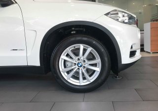 BMW X5 2018 - Bán xe BMW X5 giá tốt, giao xe ngay, hỗ trợ trả góp