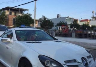 Mercedes-Benz SLK class  280   2008 - Bán xe Mercedes SLK280 2008, màu trắng, nhập khẩu