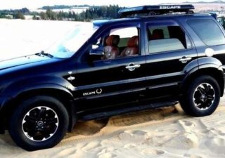 Ford Escape 2005 - Bán Ford Escape sản xuất 2005, còn mới