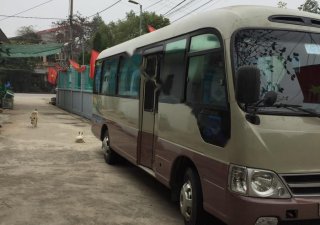 Hyundai County Limousine 2009 - Bán Hyundai County Limousine 2009, hai màu 