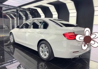 BMW 3 Series 320i 2016 - Bán ô tô BMW 3 Series 320i sản xuất 2016, màu trắng