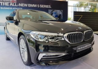 BMW 5 Series 530i 2018 - Bán BMW 5 Series 530i đời 2018, màu đen, nhập khẩu nguyên chiếc