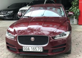 Jaguar XE XE 2015 - Bán Jaguar XE sản xuất 2015 màu đỏ