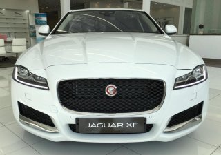 Jaguar XF XF 2019 - Bán xe Jaguar XF 2019 giá 2 tỉ 8, LH 0907690999