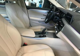 BMW 5 Series 520i G30 2018 - BMW 520i Sedan G30 All New 2019