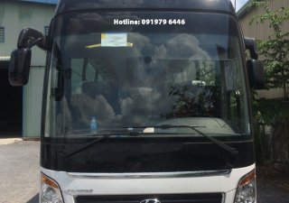 Hyundai Universe Premium 47 ghế Châu Âu 2021 - Bán xe Hyundai Universe 47 chỗ  màu trắng