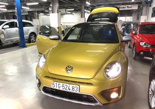 Volkswagen Beetle 2019 - Cần bán xe Volkswagen Beetle đời 2019, màu vàng, nhập khẩu nguyên chiếc