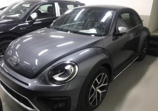 Volkswagen New Beetle 2019 - Bán Volkswagen New Beetle cao cấp đời 2019, màu xám (ghi), xe nhập