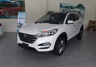Hyundai Tucson 2018 - Cần bán Hyundai Tucson năm 2018, màu trắng, giá chỉ 900 triệu
