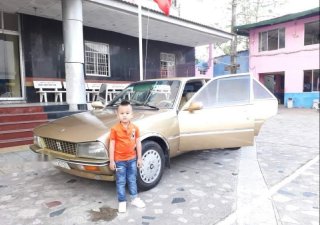Peugeot 505 1990 - Cần bán gấp Peugeot 505 sản xuất 1990, nhập khẩu nguyên chiếc xe gia đình, 40 triệu